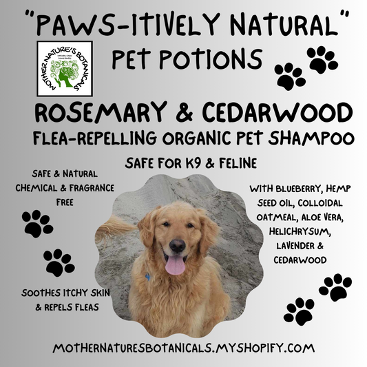 "PAWS-itively Natural" Woof Wash with Colloidal Oatmeal & Aloe All-Pet Shampoo (medicated or flea repelling)